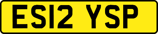 ES12YSP