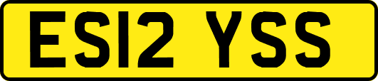 ES12YSS