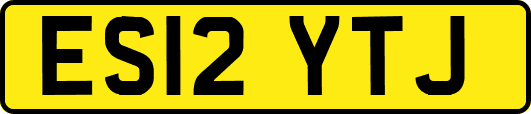 ES12YTJ