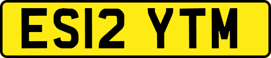 ES12YTM