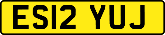 ES12YUJ
