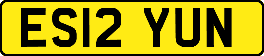 ES12YUN