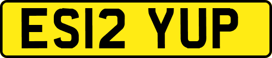 ES12YUP