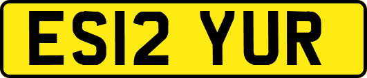 ES12YUR