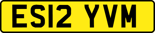 ES12YVM
