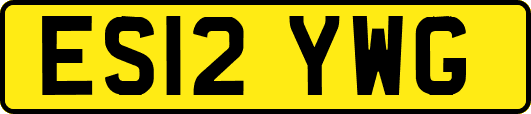 ES12YWG