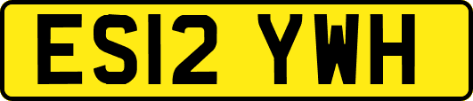 ES12YWH