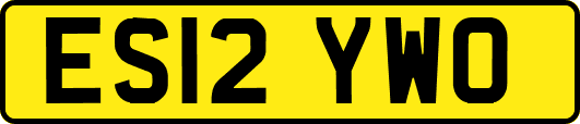 ES12YWO