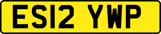 ES12YWP