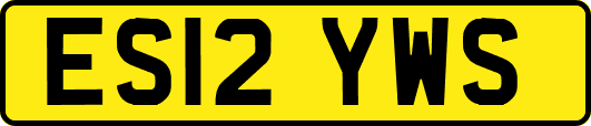 ES12YWS