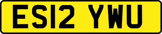 ES12YWU