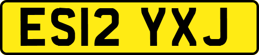 ES12YXJ