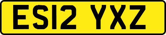 ES12YXZ
