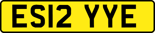 ES12YYE