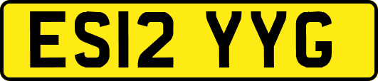 ES12YYG