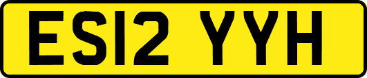 ES12YYH