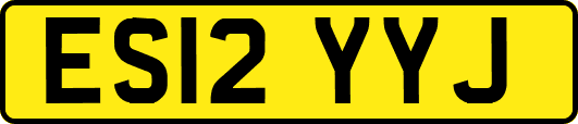 ES12YYJ