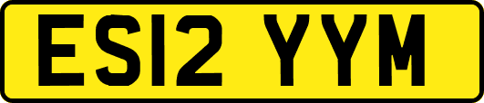 ES12YYM