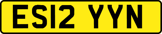ES12YYN