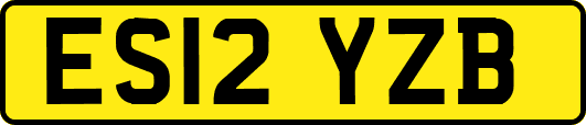 ES12YZB