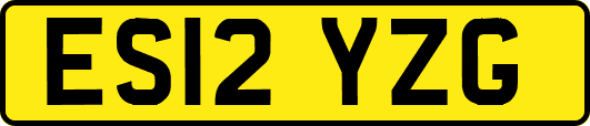 ES12YZG