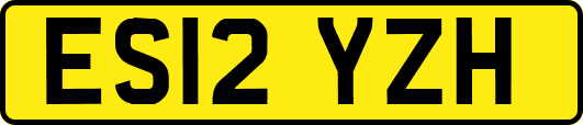ES12YZH