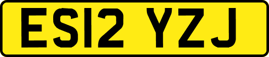 ES12YZJ