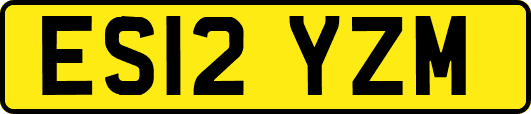 ES12YZM