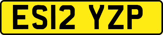 ES12YZP