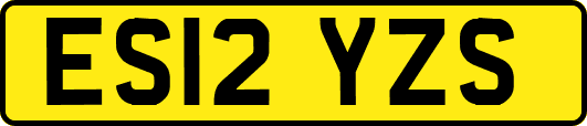 ES12YZS