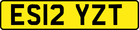 ES12YZT