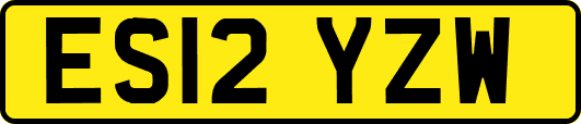 ES12YZW