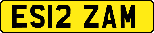 ES12ZAM