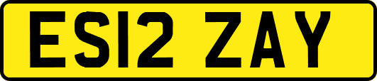 ES12ZAY