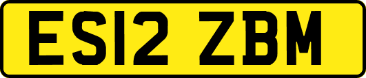 ES12ZBM