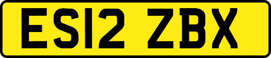 ES12ZBX