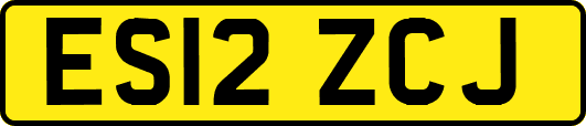 ES12ZCJ