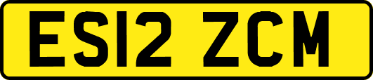 ES12ZCM