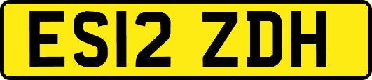 ES12ZDH