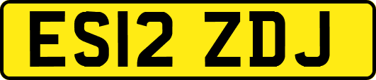 ES12ZDJ