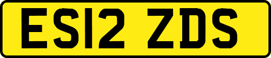 ES12ZDS