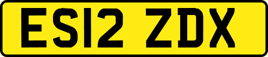 ES12ZDX
