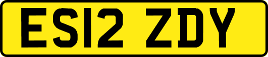 ES12ZDY