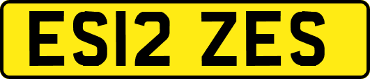 ES12ZES