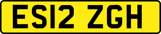 ES12ZGH