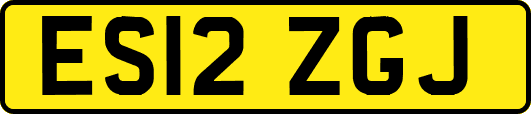ES12ZGJ