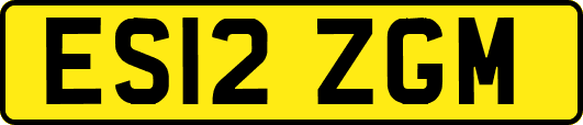 ES12ZGM
