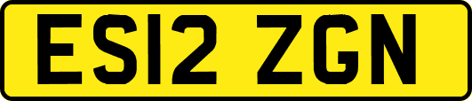 ES12ZGN