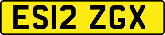 ES12ZGX