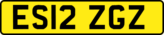 ES12ZGZ